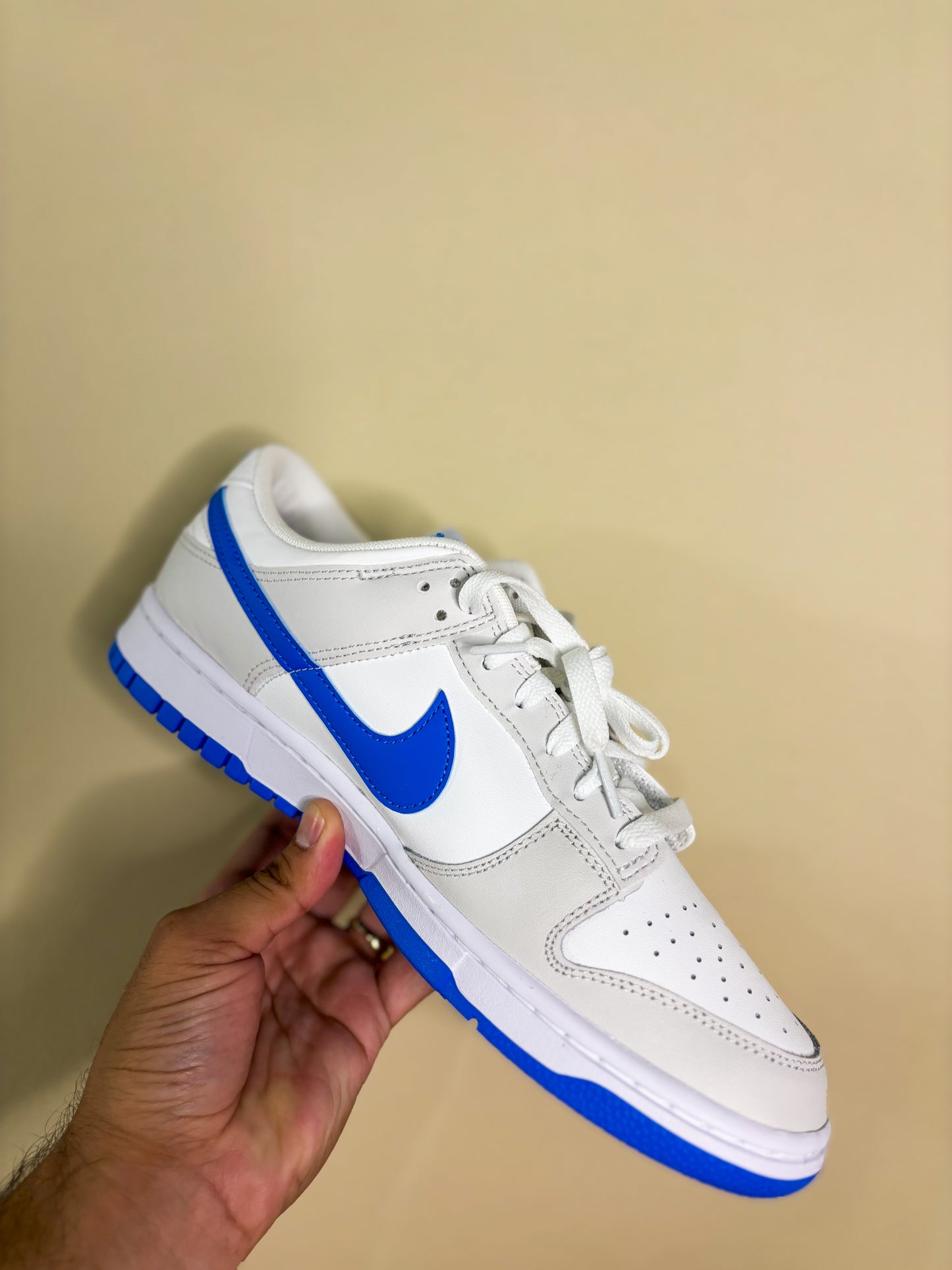 Nike Dunk Low Retro "Photo Blue"