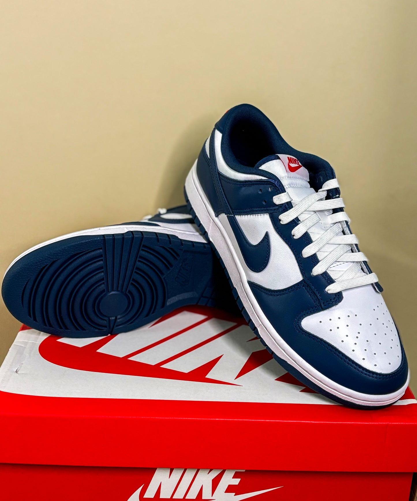 Nike Dunk Low "Valerian Blue"