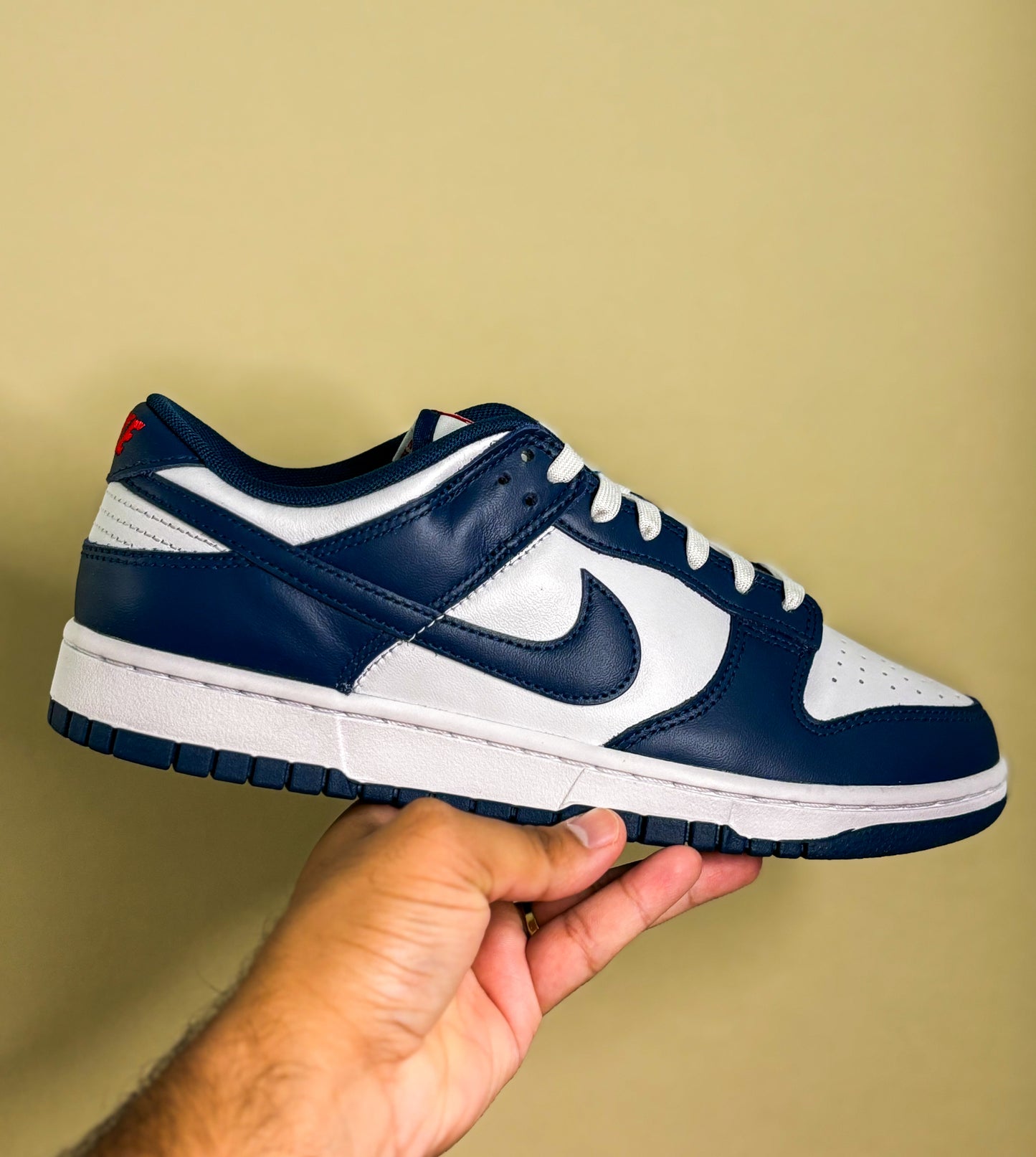 Nike Dunk Low "Valerian Blue"